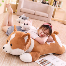 fd489eb44479de4833dfac22a6e97d57