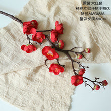 6c673dd405ad5cfd00c44f4ccd0036c4