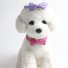 3749d2571df35f7d5344180faafc4731