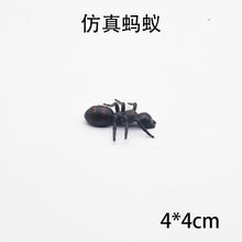 ccd6d82ef47ec3d913088301095515f6