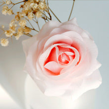 9e1b0d2fc219db7431097a8f70e08bc8
