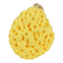 9f785ca10df295efc696ee4e8d1c387b