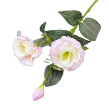0ff3f45ab5ad91fb0efc3084b3b6f567
