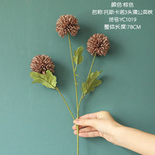 c51fe34f1d69a03ed7d446beae1f0564