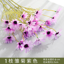 5b4a6bd69908f00c348f7f11b634bf3e