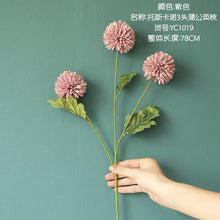 1ea1b27018949a928aae153f0e541789