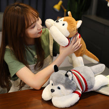 ff8d33d1753e6ef8bd7894c30cbd7738