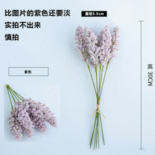 cdaa7d81312e5151dbe8bbc5566e1033