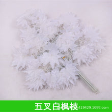 3ed98a3080337d8b9c4ba3d9ef43fc4e