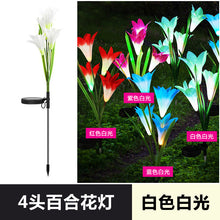 038aa415cc061bebd698403c754a53c2
