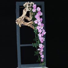 1bd11efca1d28bb75d72bd730ad1df59