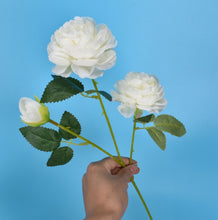 860cbf9a4fa29c3299c4ca43cfe51d07