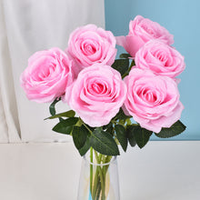 7763184c9f39923023bf1a9456312514