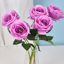 037e9fee7e8c728b9bdf8d9556307edf