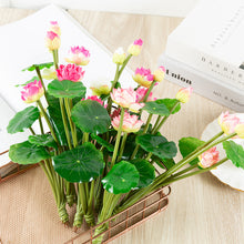 5c53d112c134eefd04cbbbe96054c610