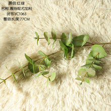 f5389bc14050630ad2ce80885b7af936