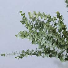 e79464659c13fd31c0ab82bdc1c72094