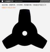 c513191e81632846a34d0175d88595b5