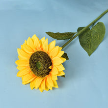3d6eb6d2442be64dd077499f070d9b5e