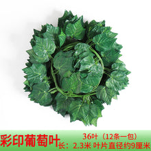 d126ab545c0416e03efe6165a8726d00