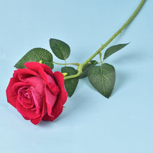 07db8b4f0977235fb6d45e9fa62a7d7e