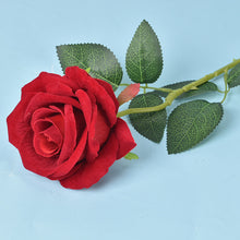 be1ee26f2605e4be9f669d9818a88117