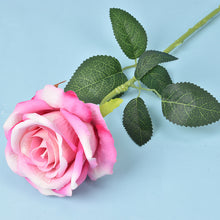 2c26f57251a7096873fc946e46c135c6