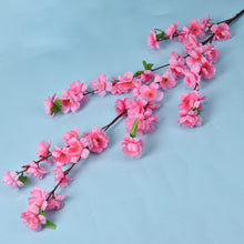 a0f208fa6727a90a8f1b18b38e8c21fb