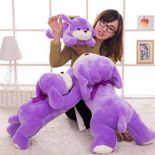 2652f1c0de17b4695fda5ba9d11bfb5c