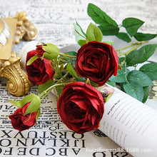 55d3bffea69814219746b68770d300e6