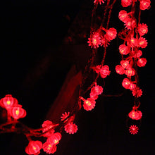 58eed9cb99be5b4a64f6bf4e672f6d85