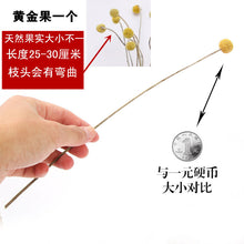 34d6b1a709b3aab68817f5ad293ab50f