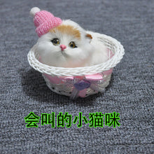 3648510f73fb75d0c7b9b9fd008a023a