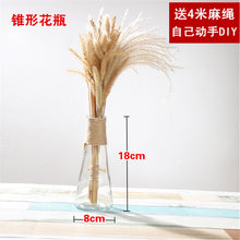 a50a29c501c7e9ab5629c3ea6ca21181
