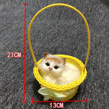 57e2d29b013a86349af79957e4ed1200