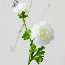 50f2cffea79eda4f12ef3f1600afe7b8