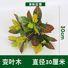 3f13c9402ab40d462fa734ee75435482