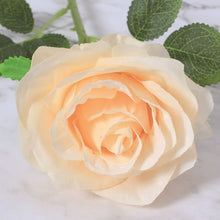 bb92e46c23a6584cf01f20eba308cec7