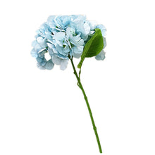 f6a70dc53c04d07a59e36769cb5b1a21