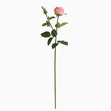 89f7aeabbdf44aa429fac36be6ea2f7d