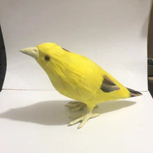e155097e8bb7c9fa045a4c72dd1541cf