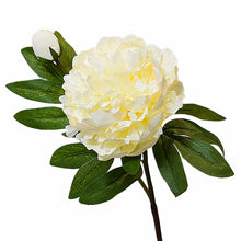 a6c1208ce56d9b20618f7d812f9c22cb