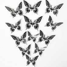 1ad7f9118a07ab45cb94faa6efc9d902