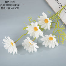 c29935ae709d5f996a2f647a3ec865ed