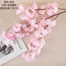 1e21f3d05fb39fcc56c7e3b9c692724e