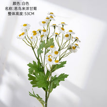 ad0429b32fe7312791227c995c12b844