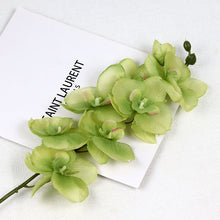 d0d9a633bb0d14bb5810f2e2832bef3b