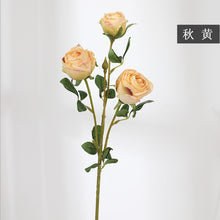 3d3d698b1cb0642016dd716cc068f26d