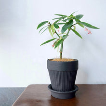 e55f80479869840ca057dafba2d11f15