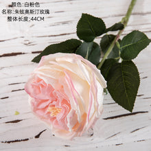 b112ea0f357c9c015ec2f4f28b025a6f